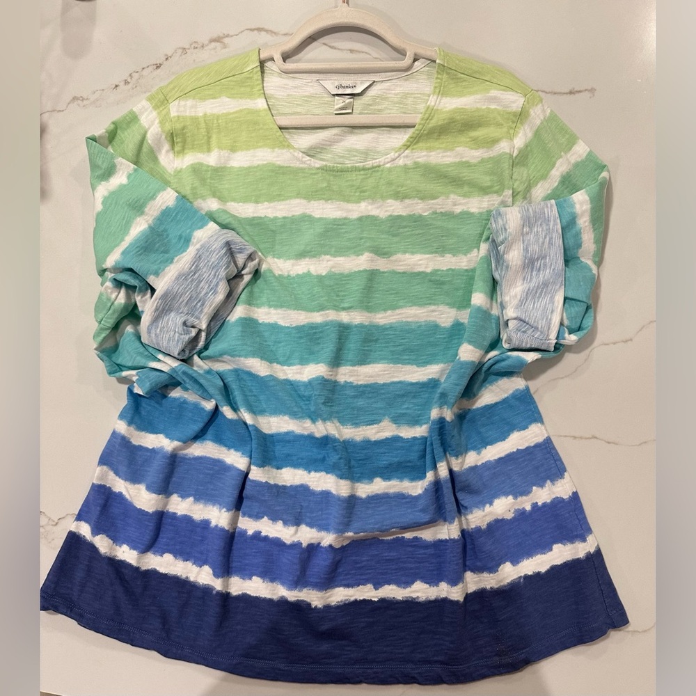 CJ Banks Green and Blue Striped Long Sleeve Top 2X